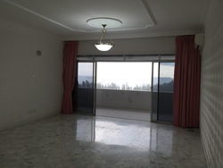 Peach Garden (D15), Apartment #159232602